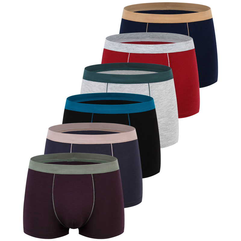 Duży rozmiar Bezszwowa bielizn – Boxer Brief Pack Cotton recenzja i cena